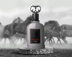 Zimaya Stallion gift box presents a premium gifting option for him.