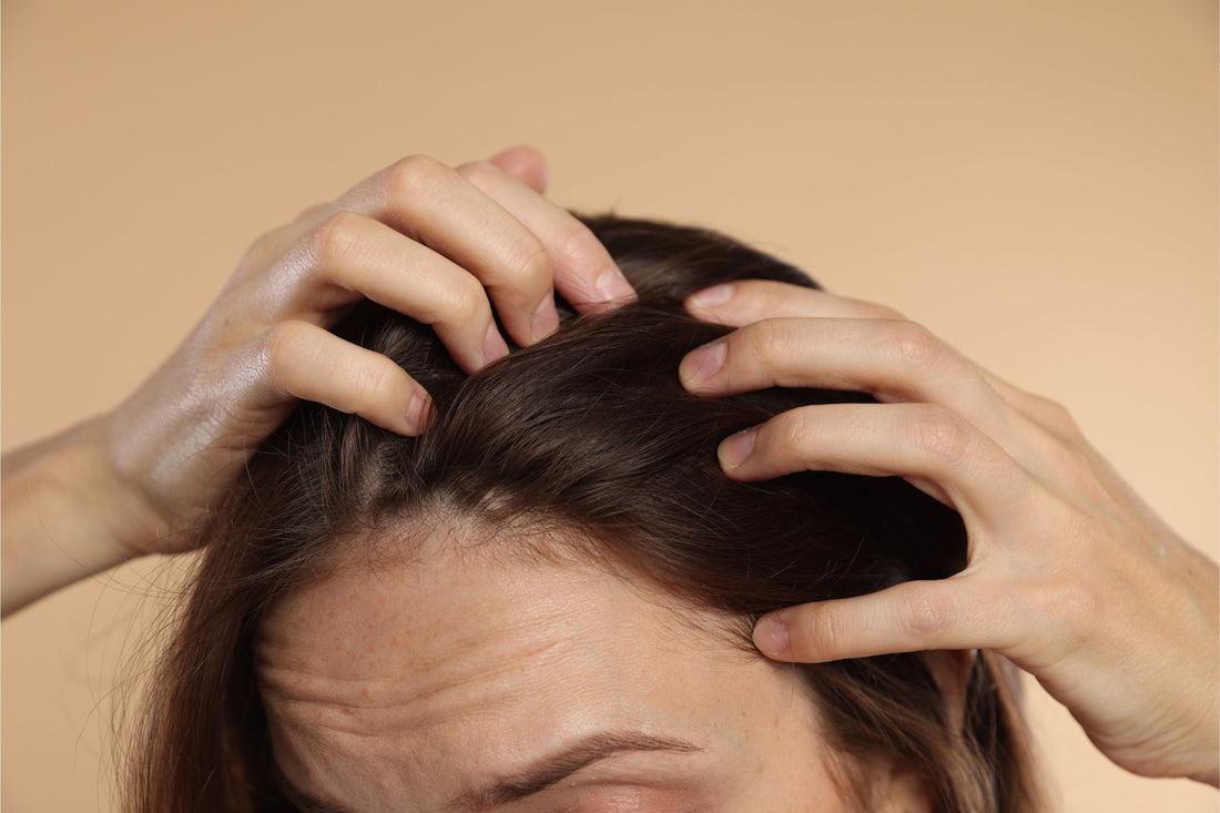 Best Routine for Dry Damaged Hair Ends to reduce breakage and dryness