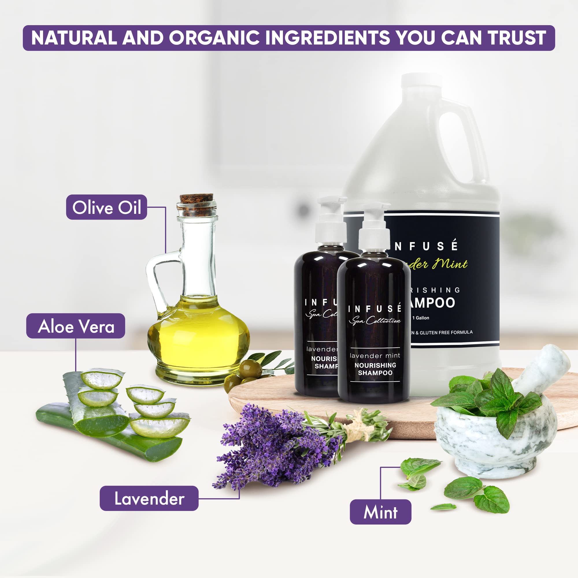 1-Shoppe All-in-Kit Infuse Lavender Mint gallon packaging, designed for elegant hotel presentation.