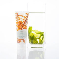 Glass jar reveals green tea and avocado butter providing nourishing moisture.