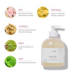 100% PURE Kelp & Mint Shampoo boosts volume and texture for fuller hair.