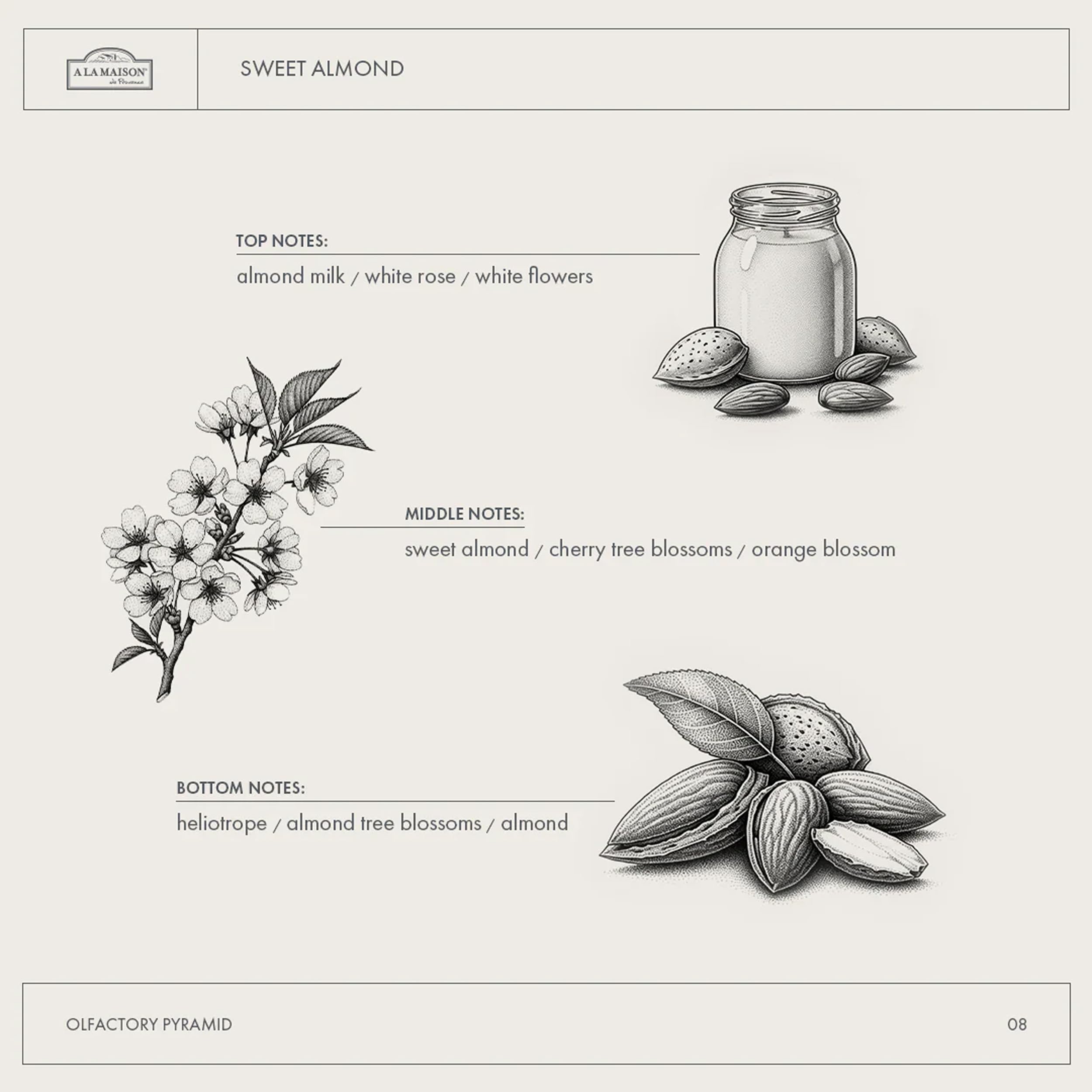 A LA MAISON Almond hand soap bottle with biodegradable, plant-based formula.