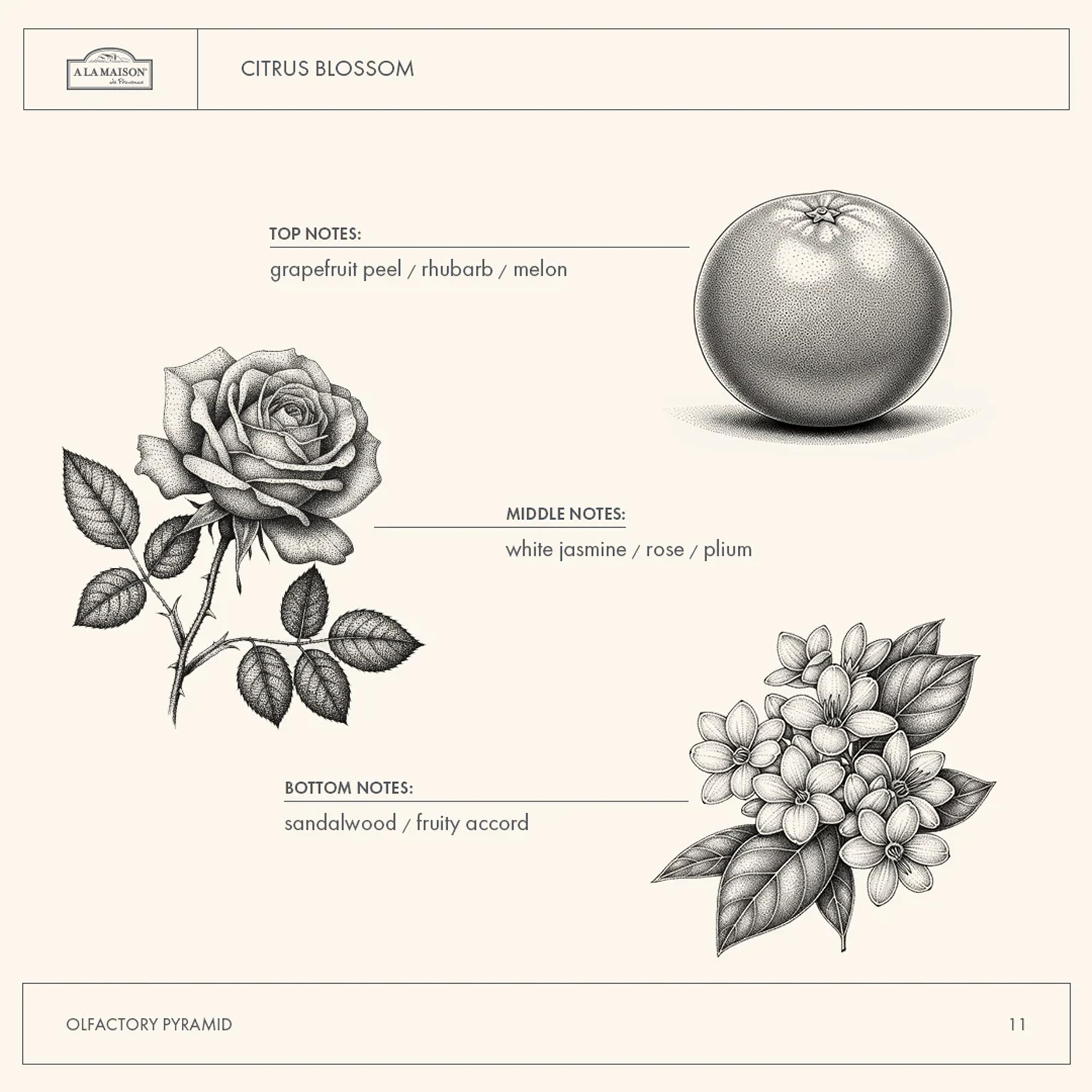 A LA MAISON Citrus Blossom BPA-free packaging supports recycling