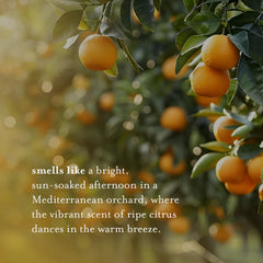 A LA MAISON Citrus Blossom rich lather demonstrates skin-friendly cleansing