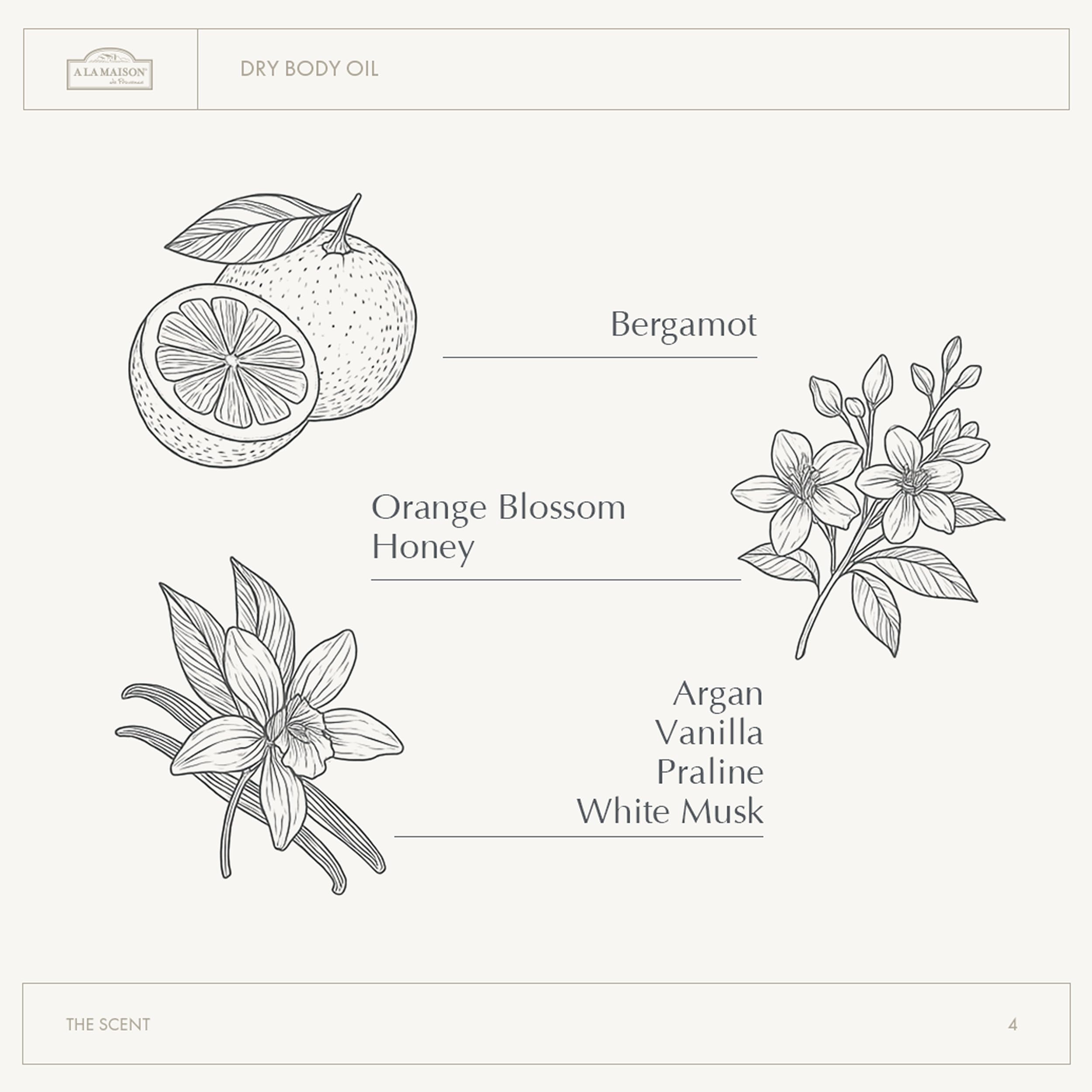 A LA MAISON oil application on arm demonstrates quick absorption.