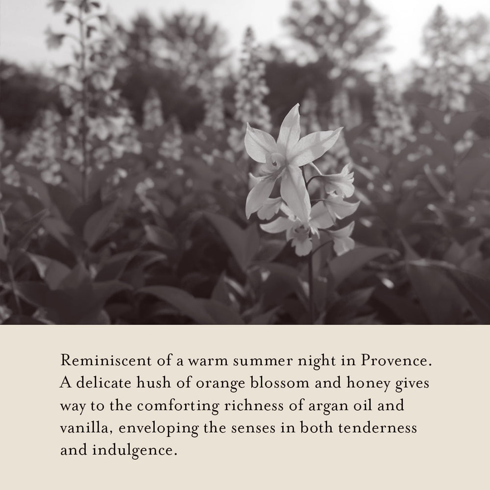 A LA MAISON white tea rose fragrance close up evokes elegant aroma.