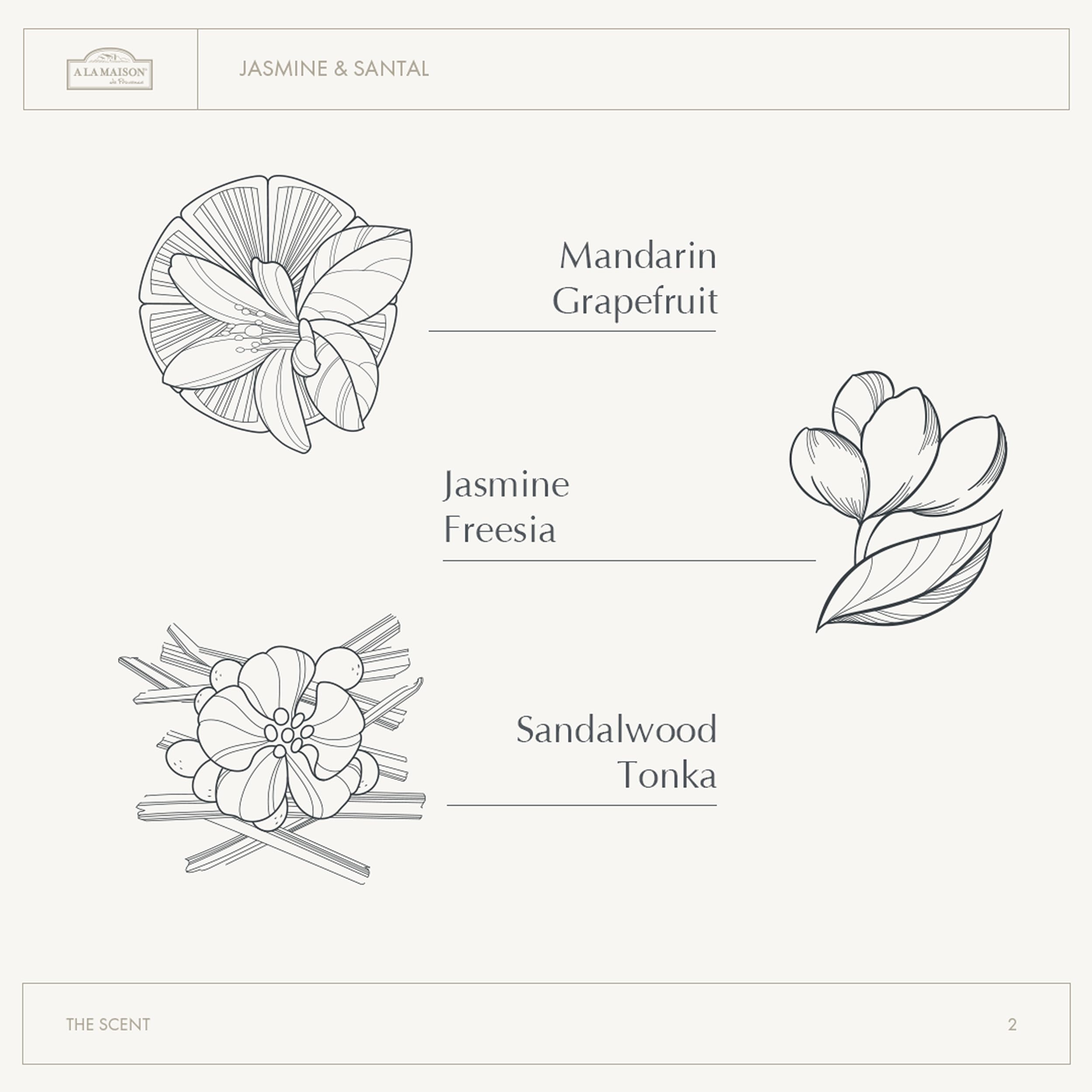 A La Maison Jasmine &amp; Santal fragrance provides a warm, luxurious aroma.