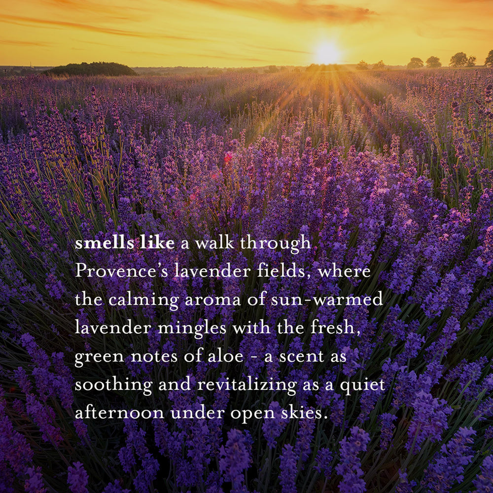 A La Maison Lavender Aloe Body Wash foam close-up, rich lather and calming fragrance.