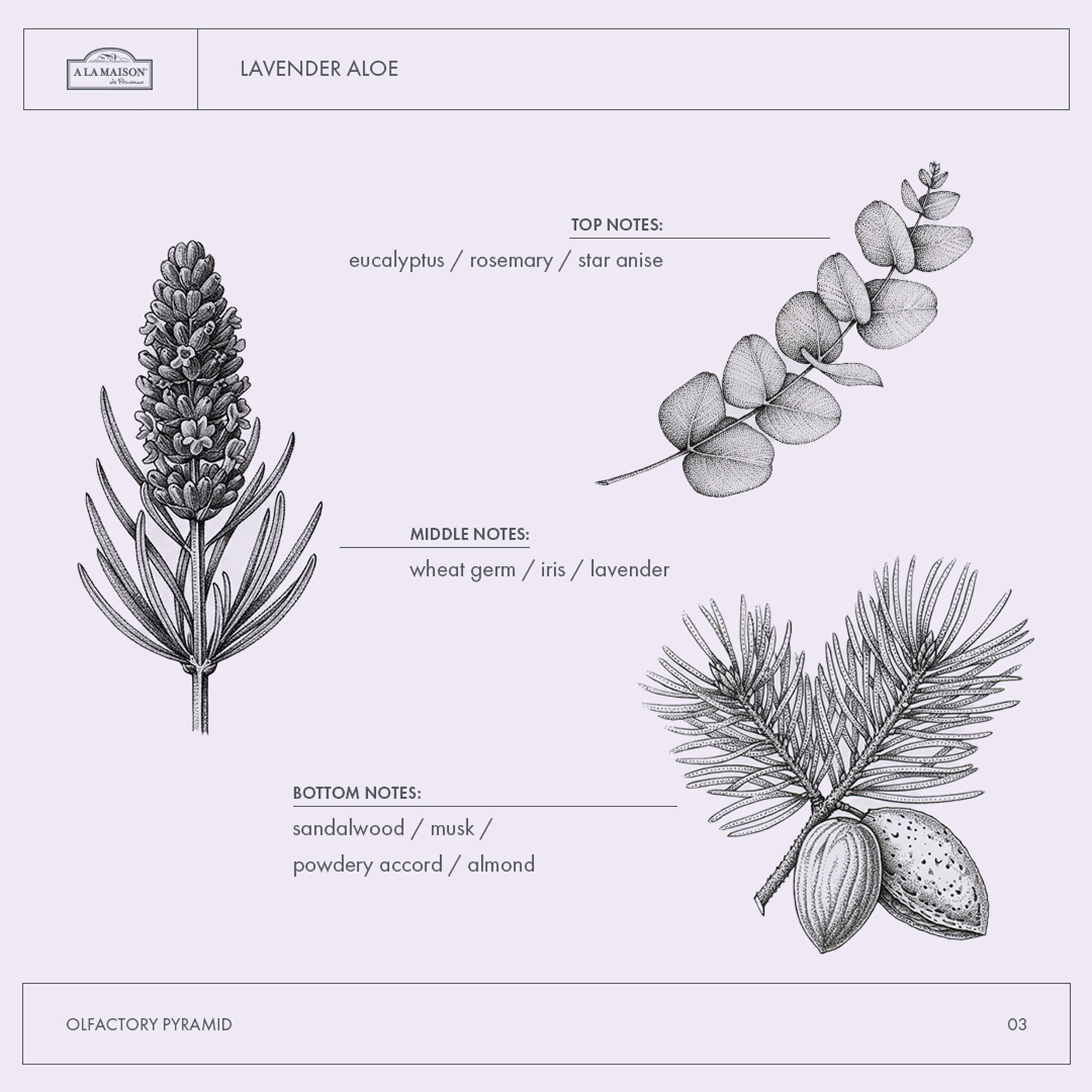 A La Maison Lavender Aloe Body Wash natural ingredients close-up, hydrating oils nourish skin.