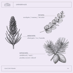 A La Maison Lavender Aloe Body Wash natural ingredients close-up, hydrating oils nourish skin.