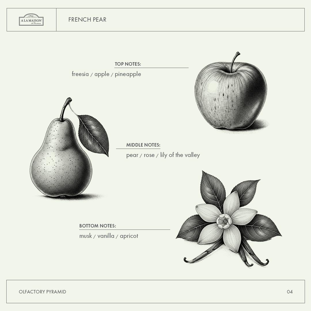 A LA MAISON French Pear fragrance image highlighting subtle pear scent and soothing vibes.