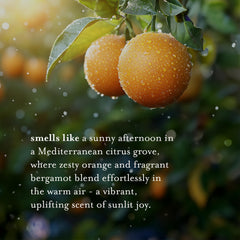 A LA MAISON Orange Bergamot Body Wash pump-top—easy dispensing for quick morning showers.