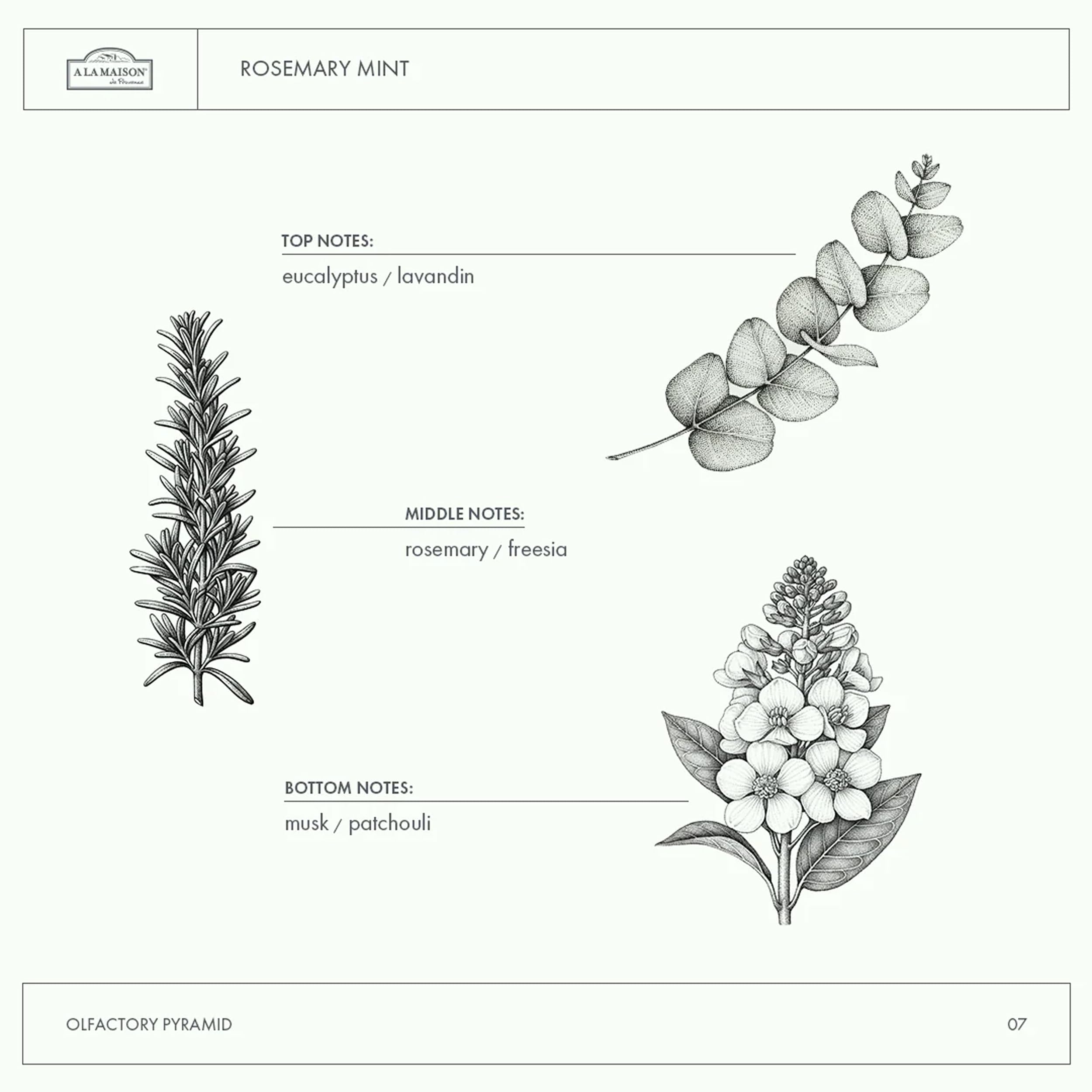 A LA MAISON ingredients panel with plant-based oils and biodegradable formula.