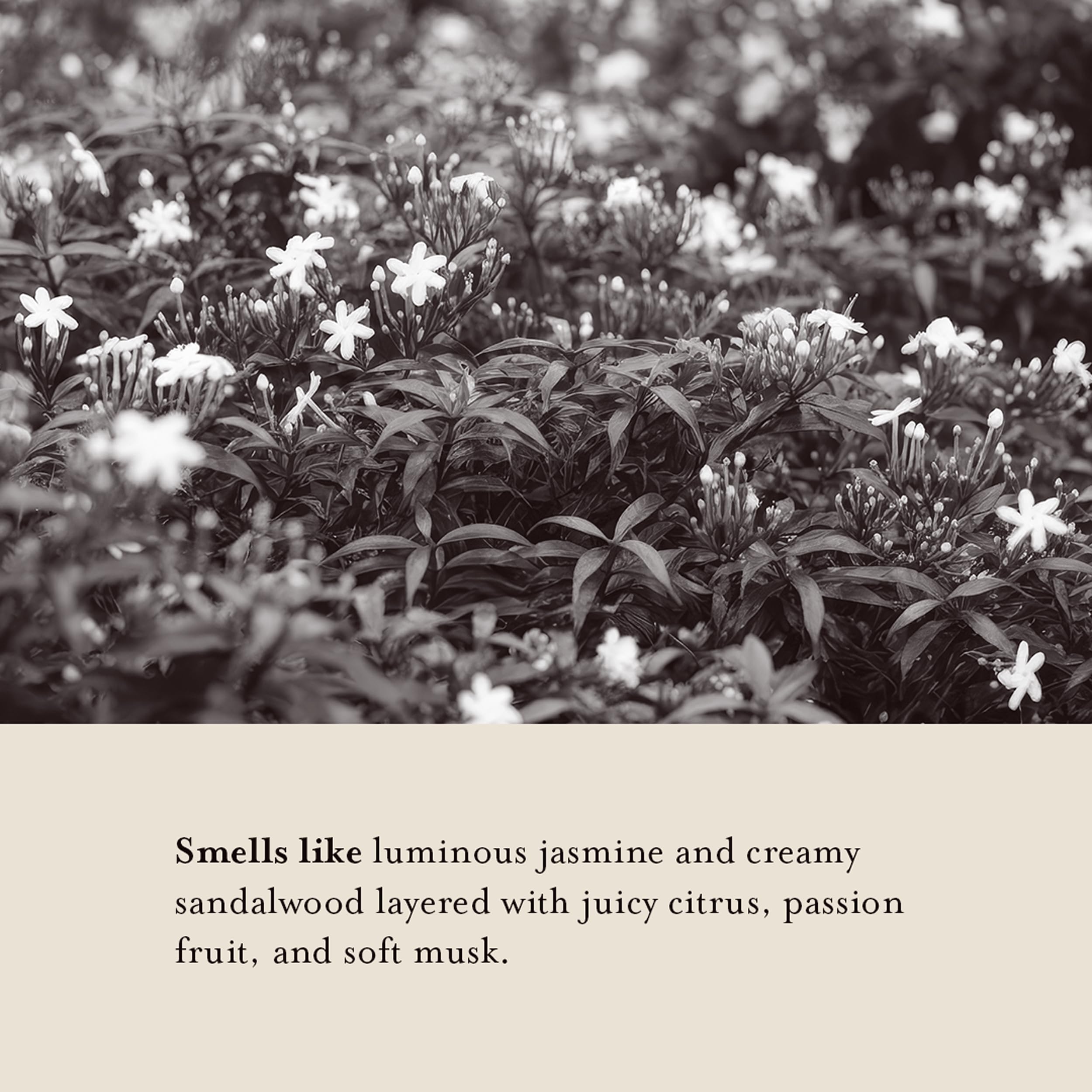 A La Maison: Shea, avocado, and argan oils enrich the formula for soft skin.