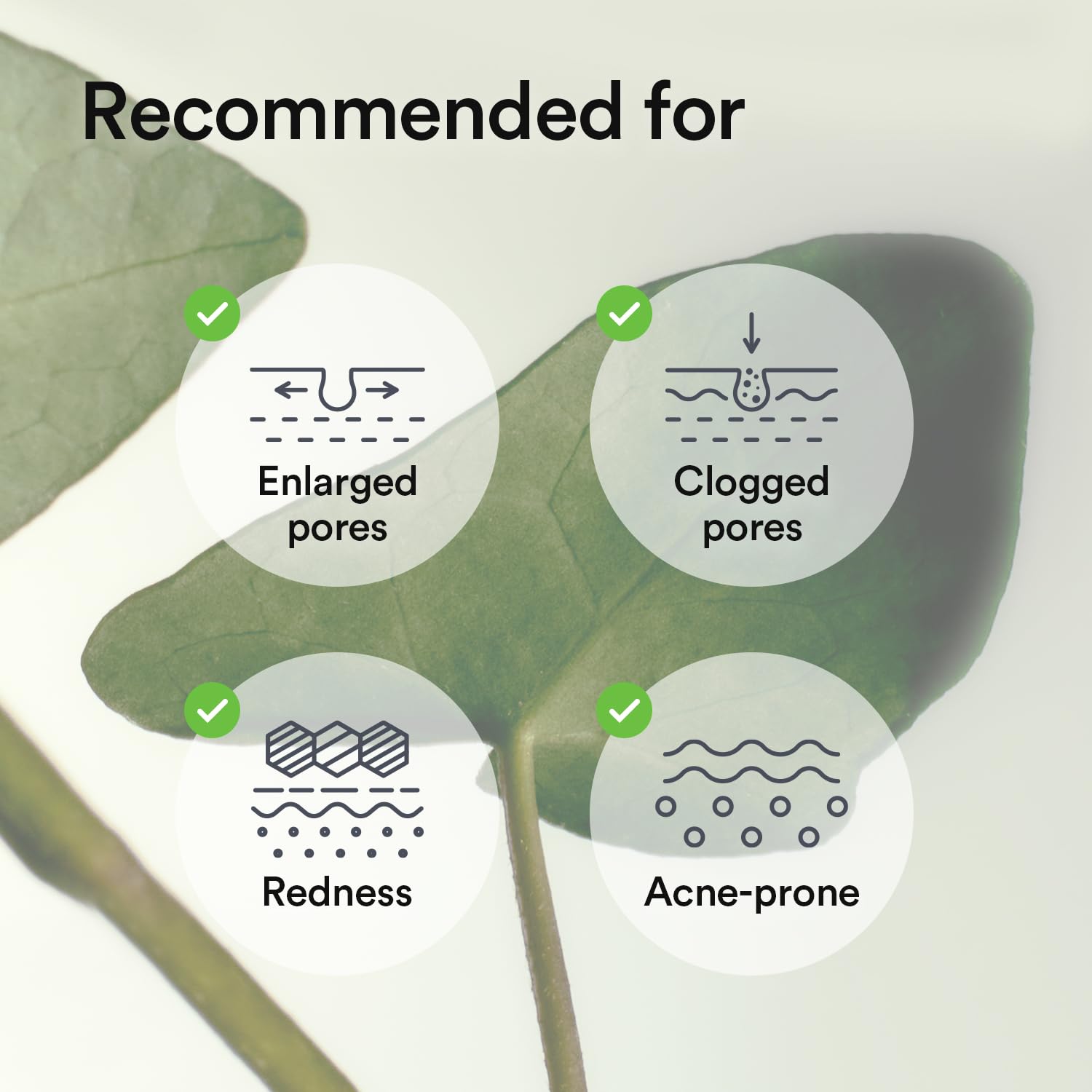 Abib Heartleaf Jelly mask in cooling visual with refreshing effect