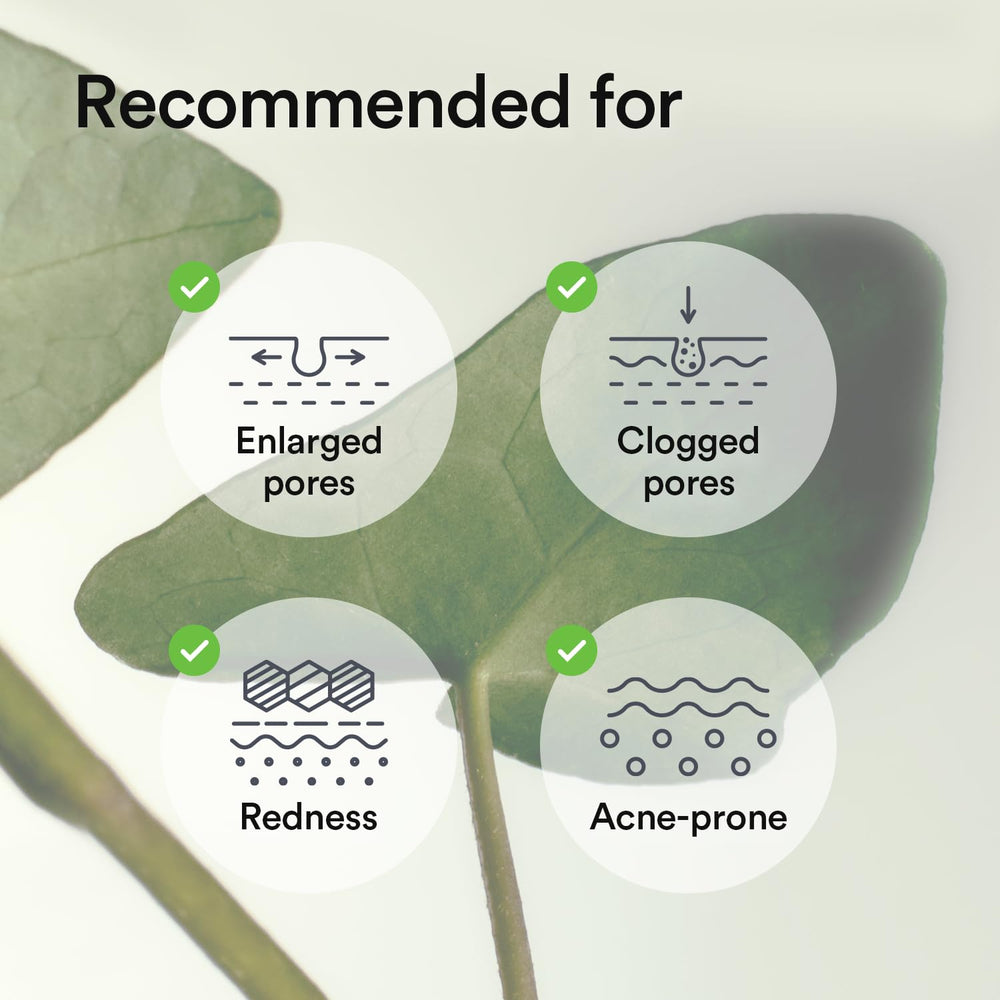 Abib Heartleaf Jelly mask in cooling visual with refreshing effect