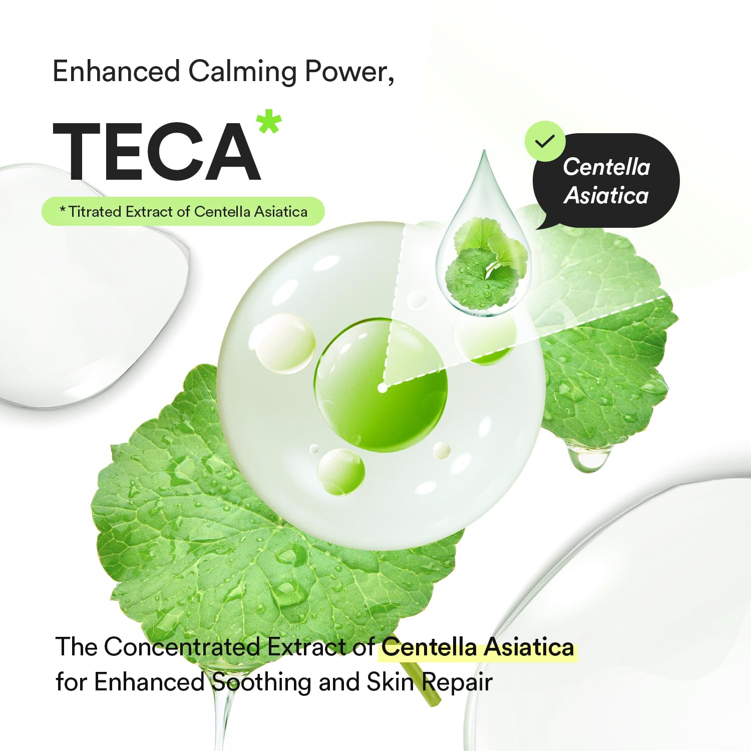 Abib Heartleaf TECA Capsule Serum Centella Asiatica illustration highlighting soothing care.