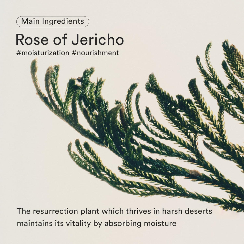 Jericho Rose Bifida serum texture glides on smoothly for quick absorption.