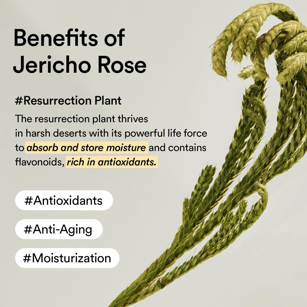Abib Jericho Rose Cream ingredients visual hints at soothing benefits.