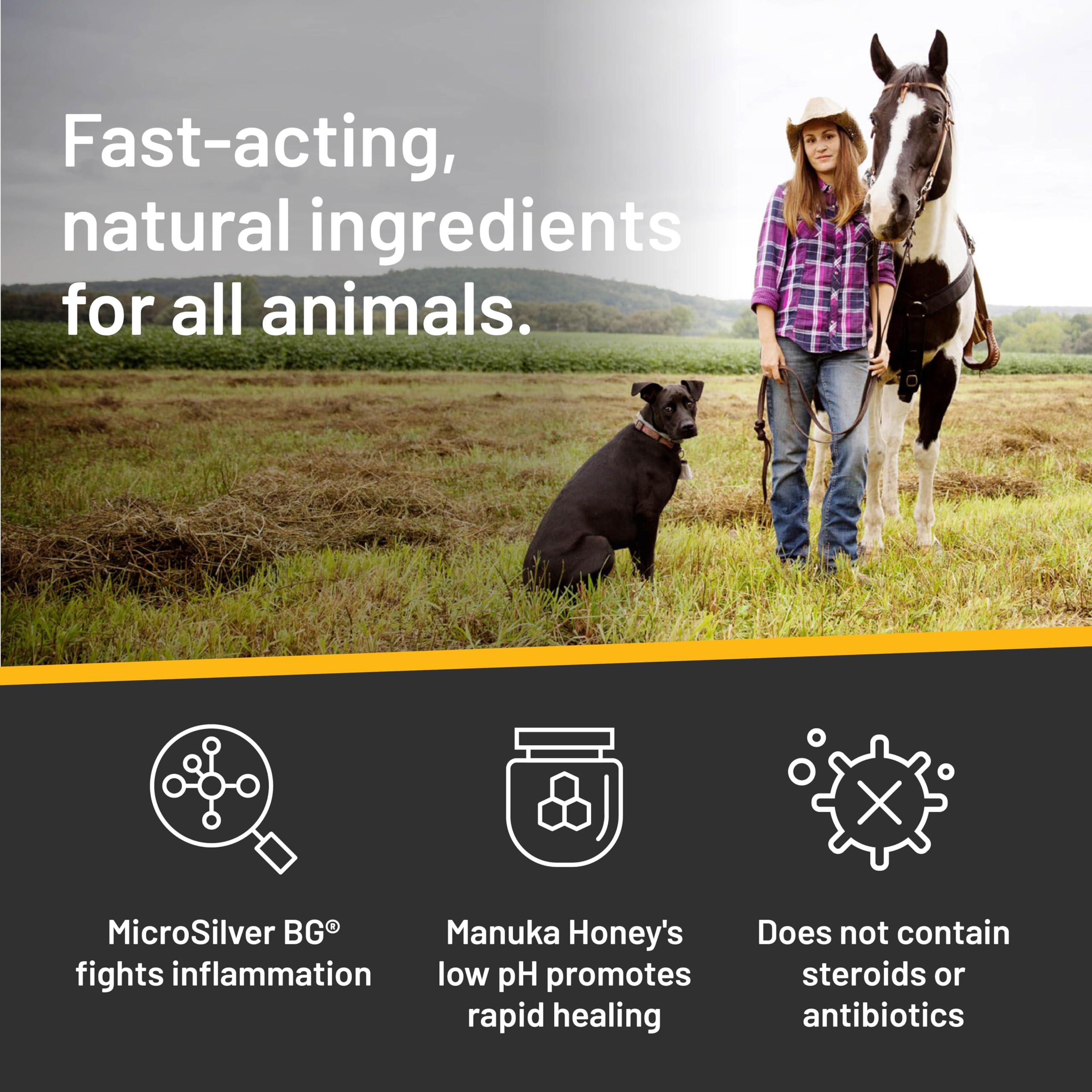 Absorbine Silver Honey Rapid Skin Relief Shampoo being applied to pet skin