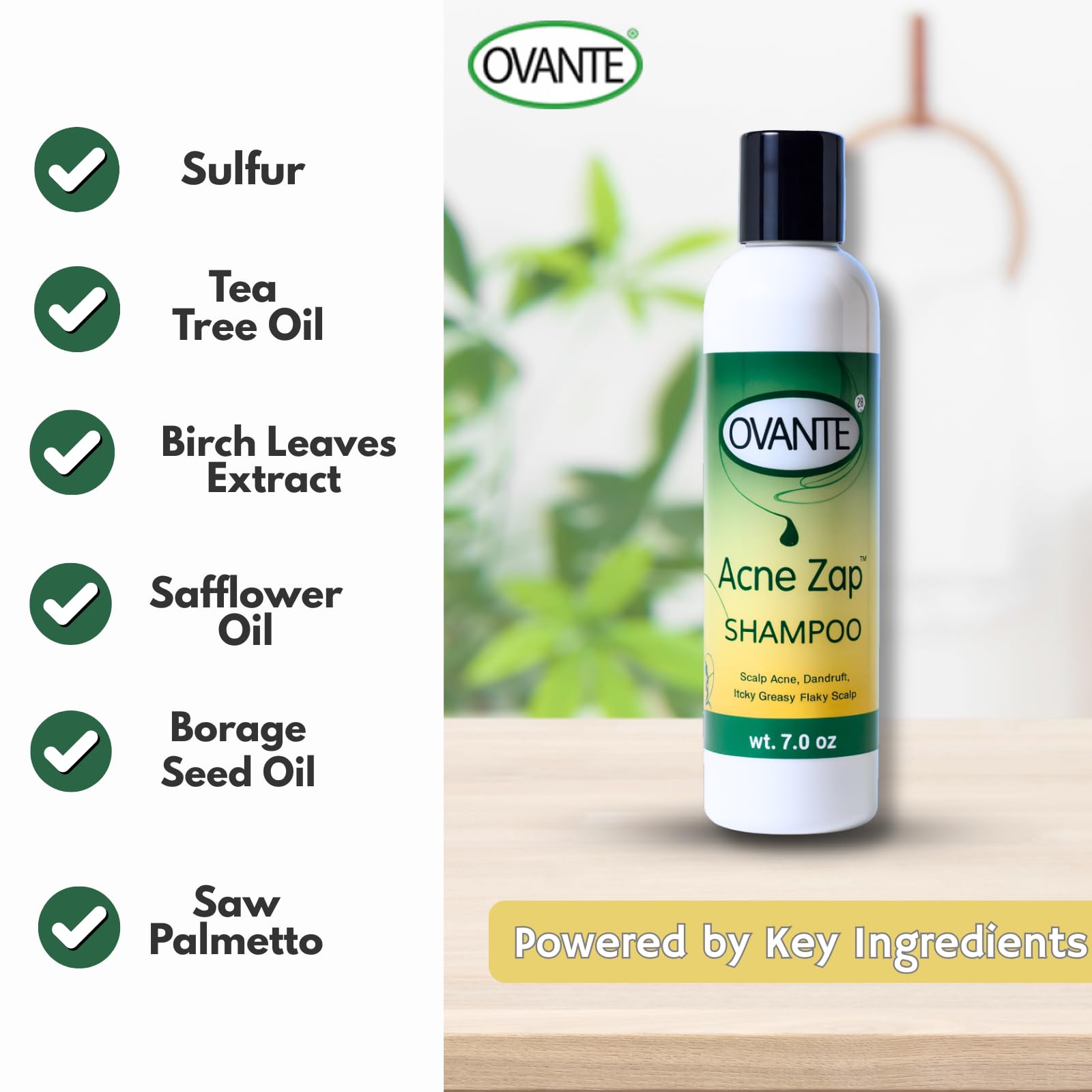 Acne Zap shampoo foam in hand demonstrates easy, gentle cleansing.