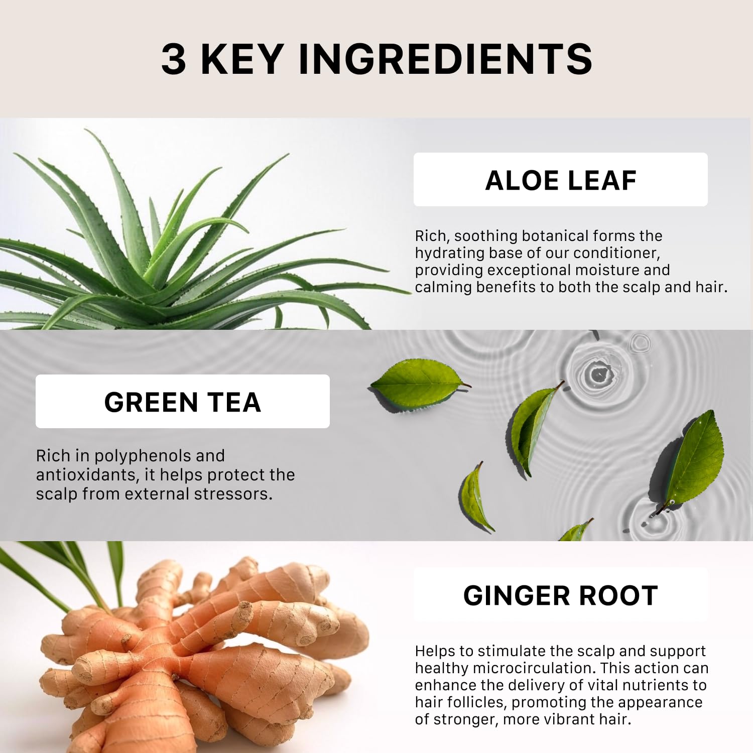 ACTIIV Recover Thickening Conditioner plant-based ingredients overview