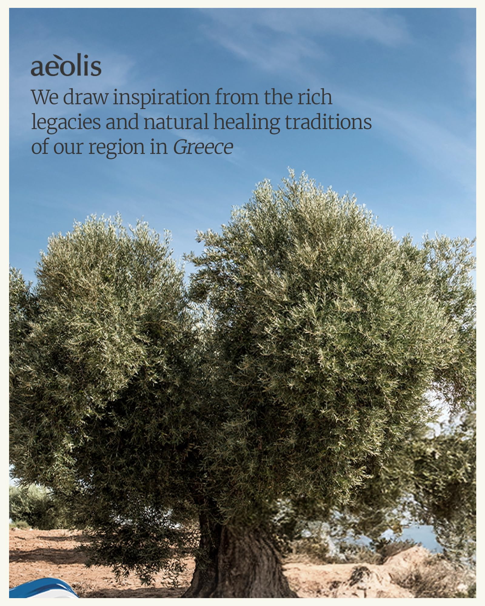 AEÒLIS uses neroli and olive leaf botanicals to balance skin