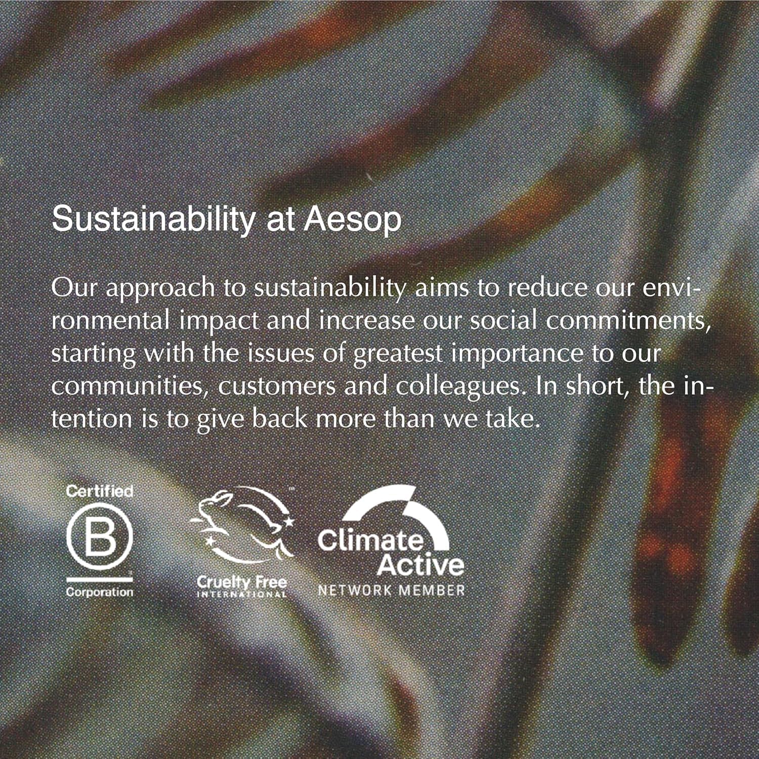 A complimentary Eleos sample included with Aesop Coriander Seed Body Cleanser.