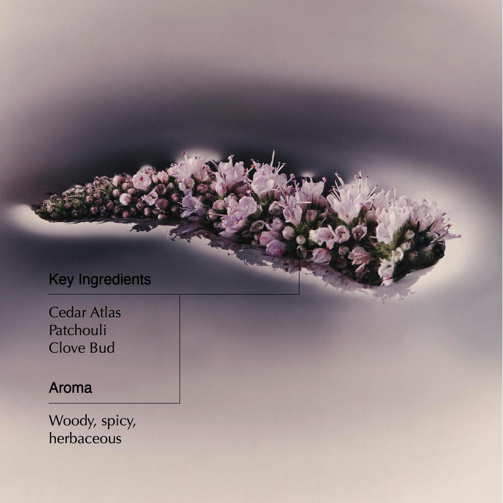 Aesop Eleos Nourishing Body Cleanser pump-top for easy, mess-free application.