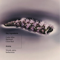 Aesop Eleos Nourishing Body Cleanser pump-top for easy, mess-free application.