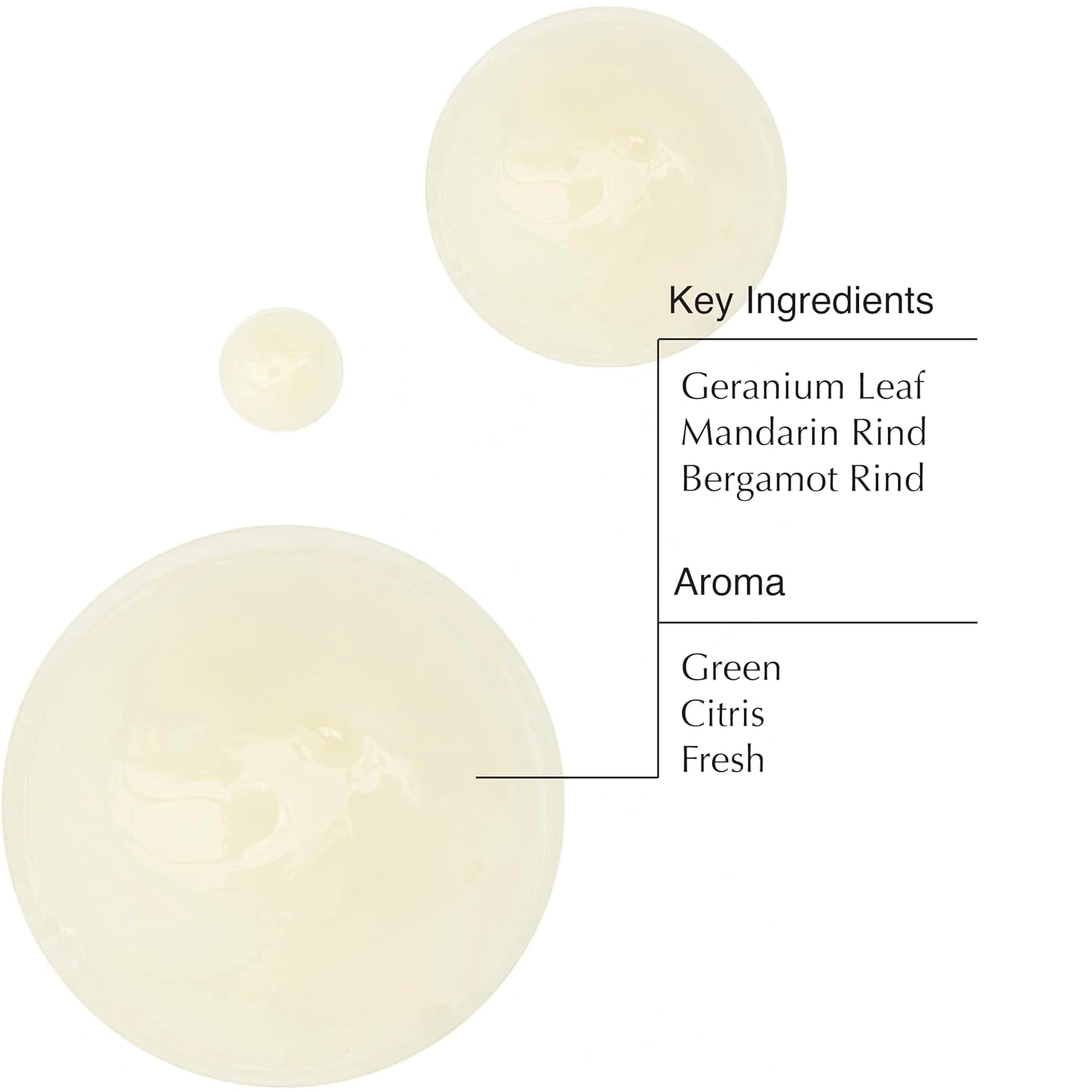 Aesop Geranium Leaf Body Cleanser refill label close-up highlighting fresh citrus notes.