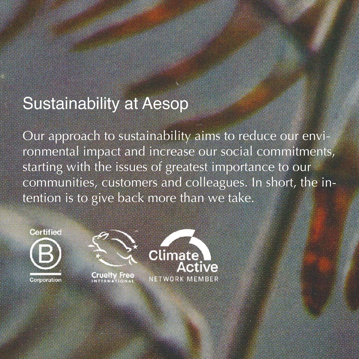 Aesop Gloam can be layered with body and hand care to subtly extend longevity.
