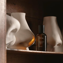 Aesop Marrakech Intense ingredients palette featuring clove and cardamom hints, warm aroma.