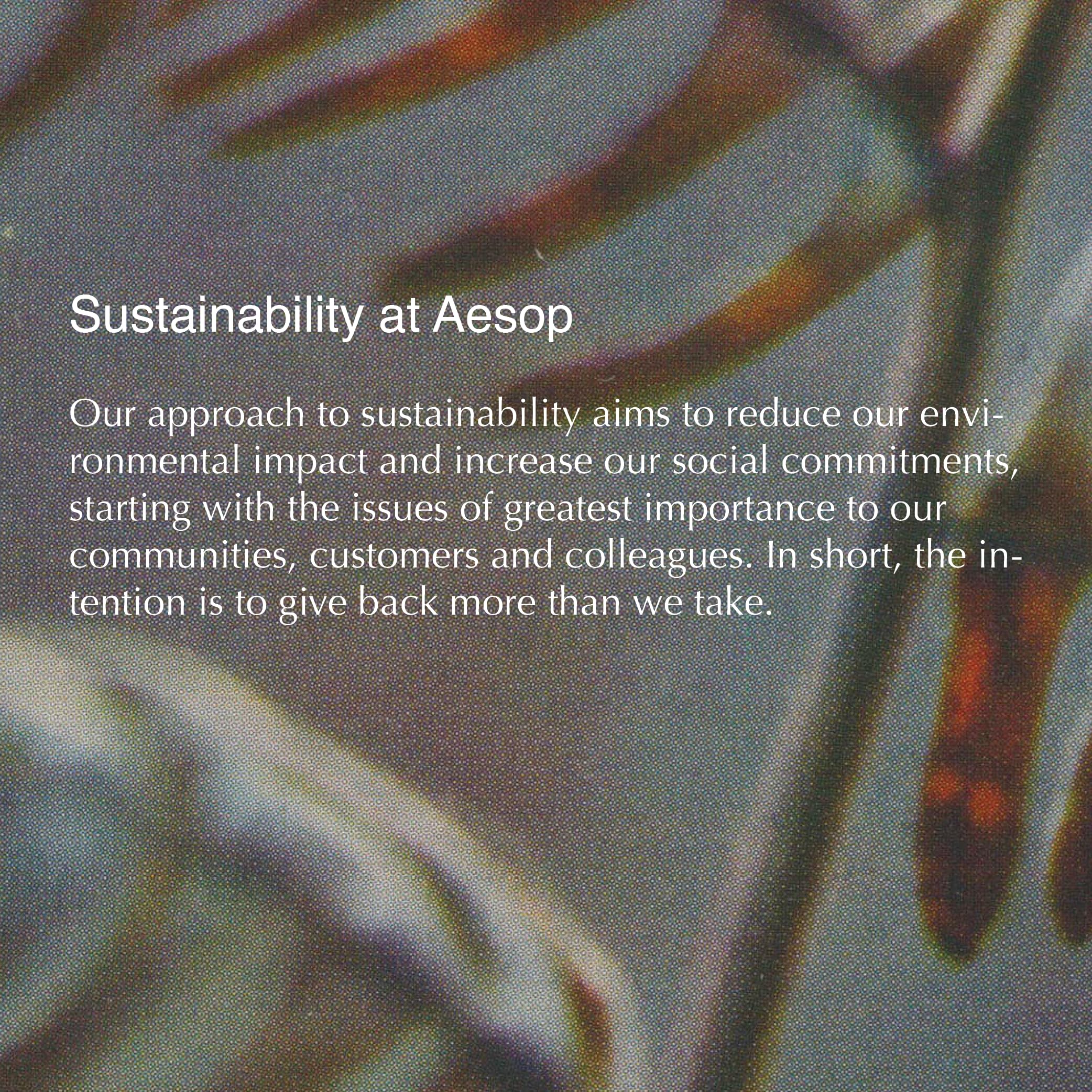 Aesop Parsley Seed Cream highlights Vitamin E and Rock Rose.