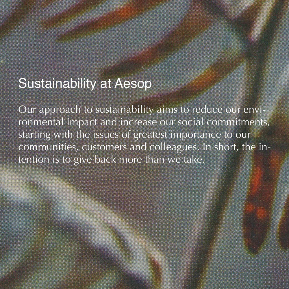 Aesop Parsley Seed Cream highlights Vitamin E and Rock Rose.