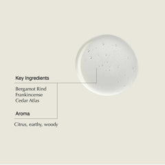 Aesop Shampoo Bergamot Rind focus emphasizes uplifting scent for daily use.