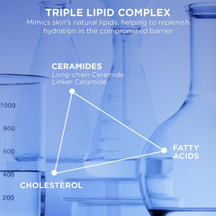 Ingredient highlights of AESTURA ATOBARRIER365 ceramide mist with 10,000ppm ceramides