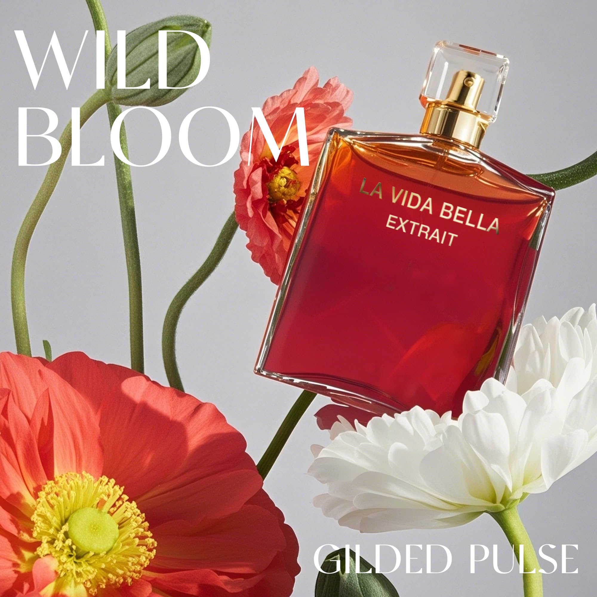 AFLUXE La Vida Bella EXT gift box, ideal for a thoughtful gift occasion.