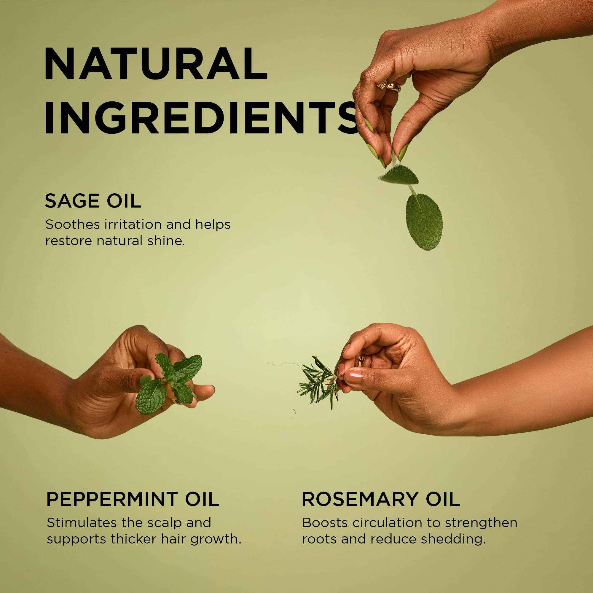 African Pride Feel It Formula oil ingredients with rosemary highlight refreshing scent and scalp care.