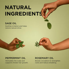 African Pride Feel It Formula oil ingredients with rosemary highlight refreshing scent and scalp care.
