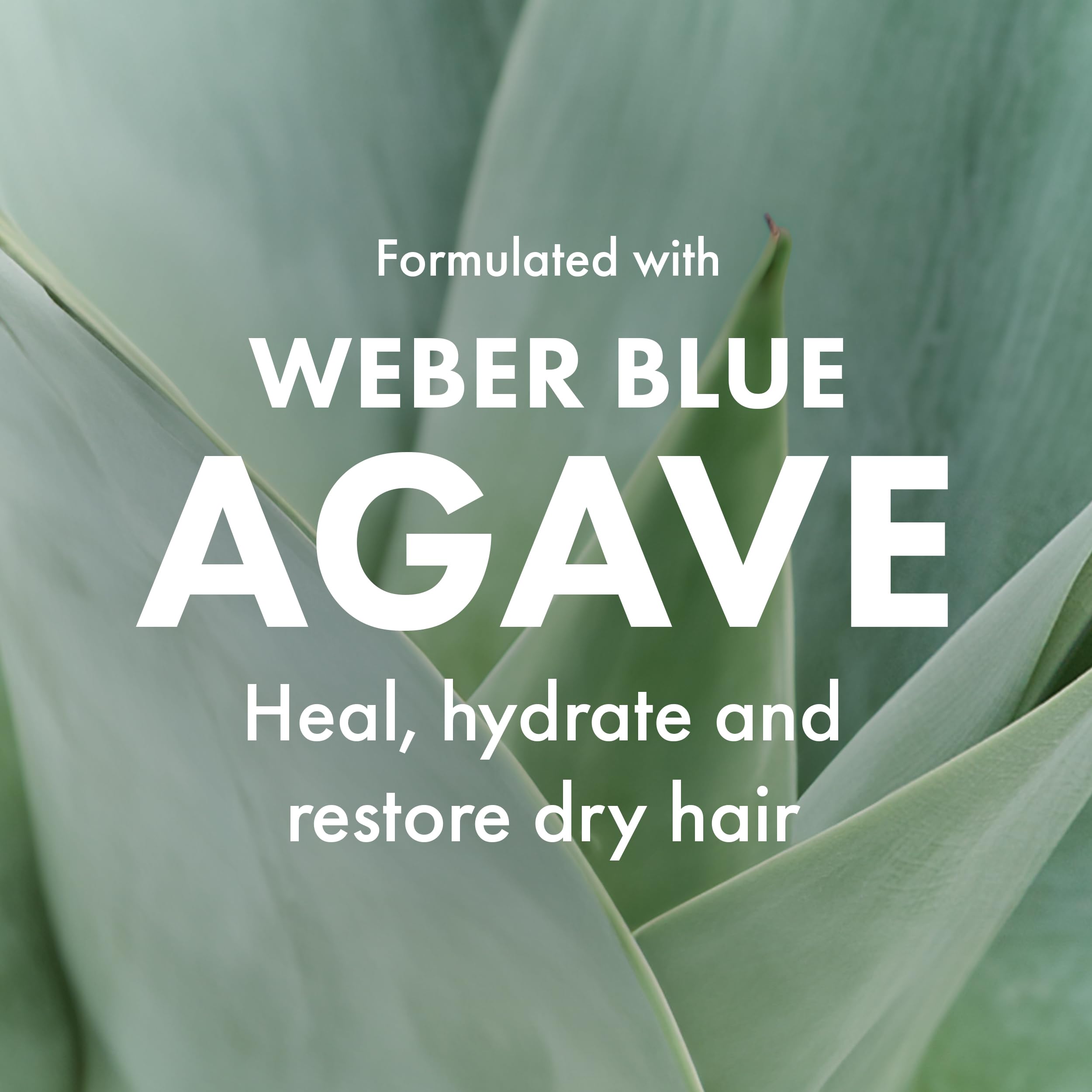 Agave Healing Oil bamboo paddle brush packaging emphasizes eco-friendly materials.