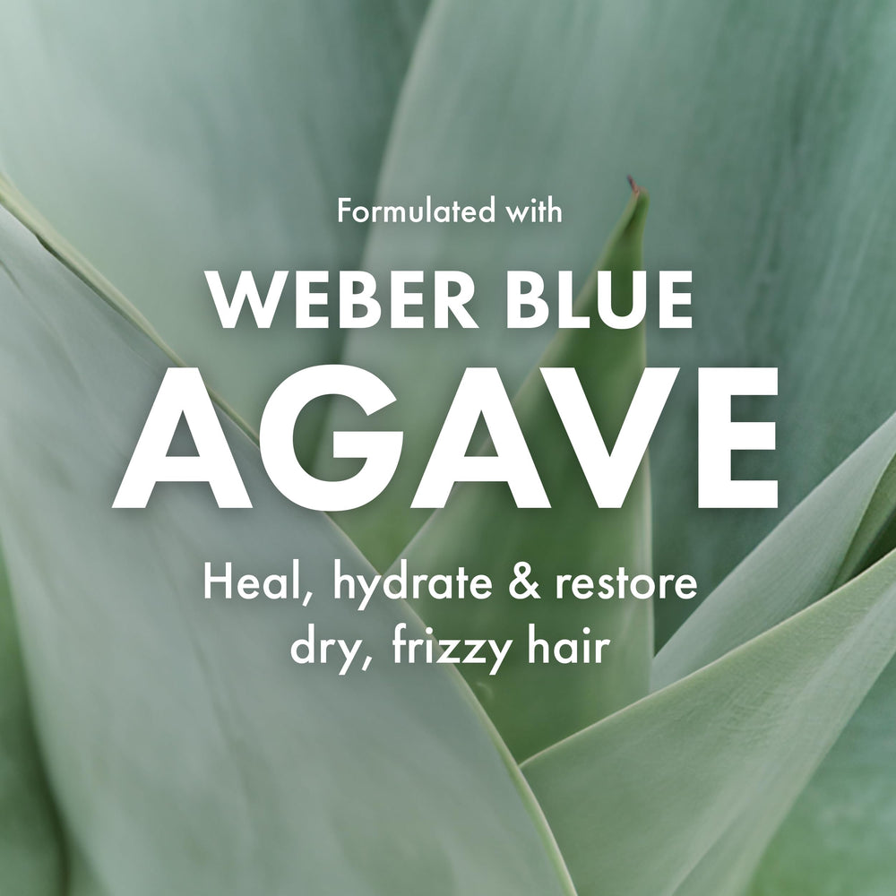 Vanilla coconut scent detail on Agave Healing Oil Clarifying Shampoo