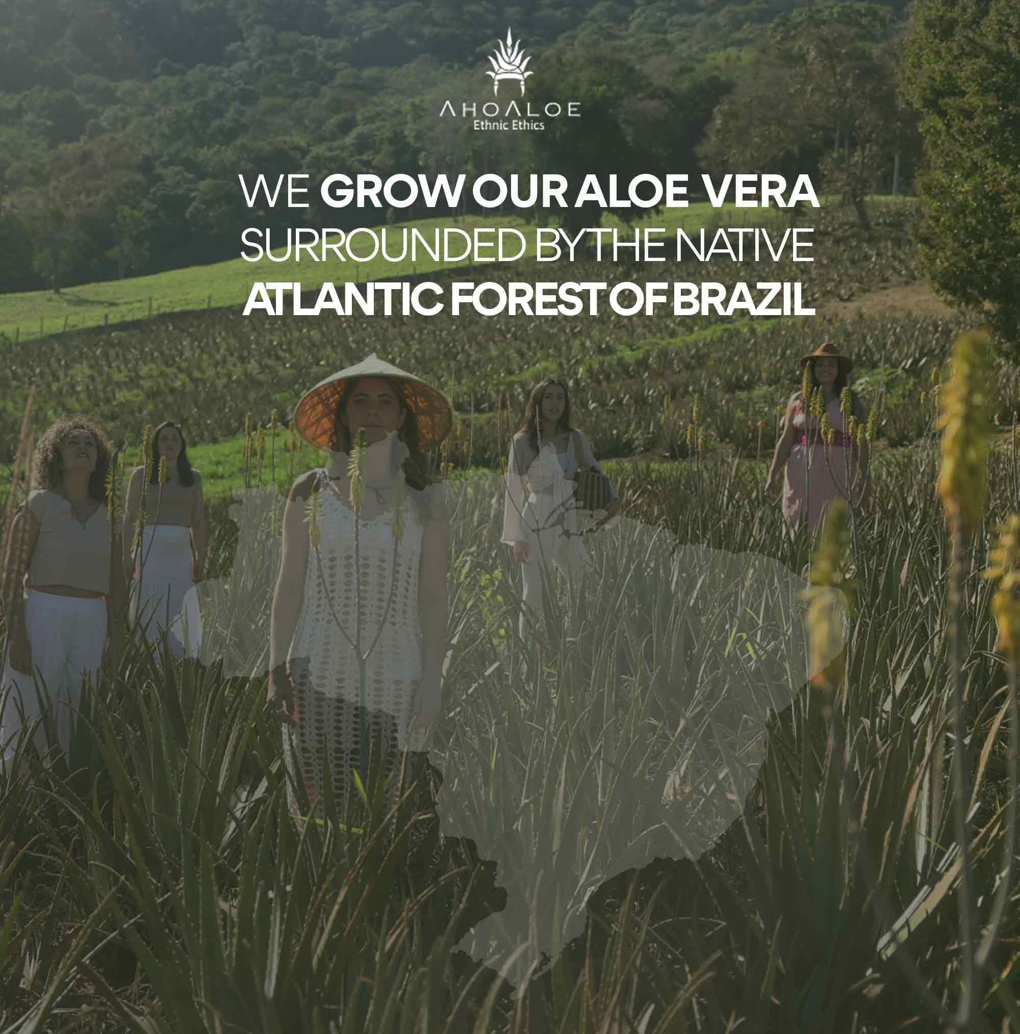 AhoAloe eco friendly packaging promotes sustainable skincare gifting