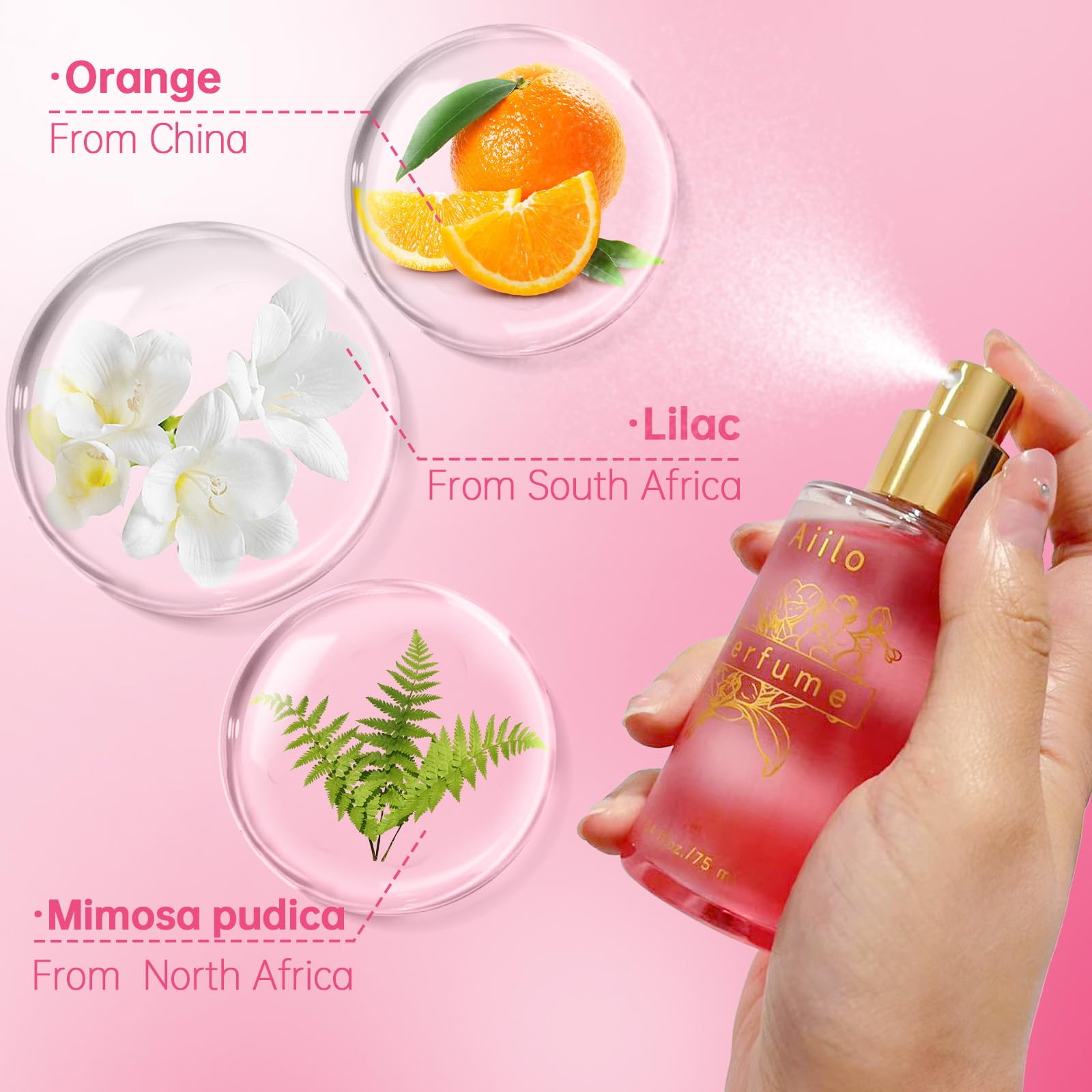 Aiilo packaging box highlighting gift-ready presentation for women.