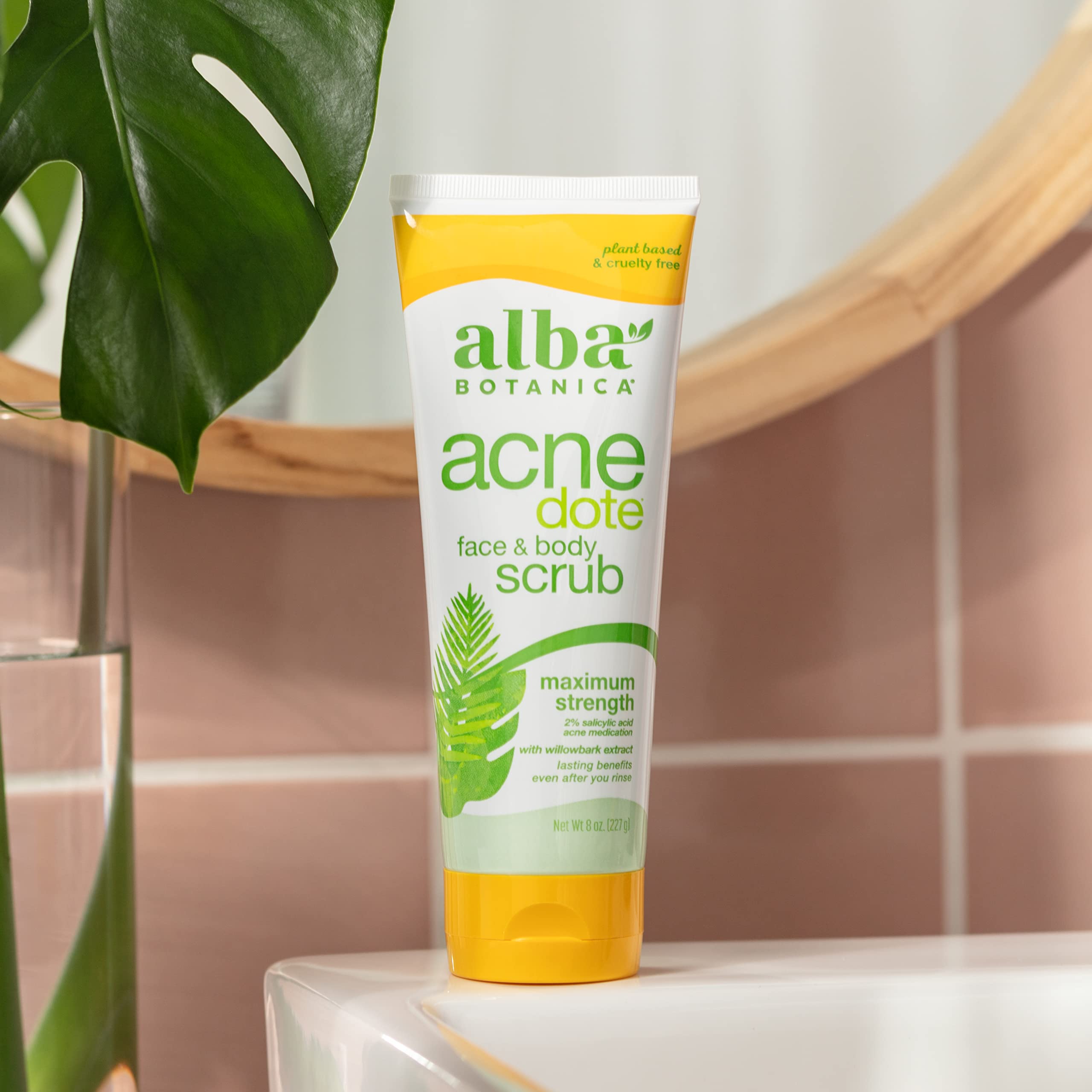 Alba Botanica Acnedote vegetarian formula label highlighting cruelty-free skincare.