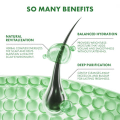 ALFHEIM Rosemary+ Purifying Shampoo scalp-refresh scene suggests airy volume for fine hair