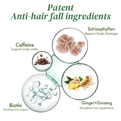 Applying ALFHEIM serum to scalp with precision applicator.