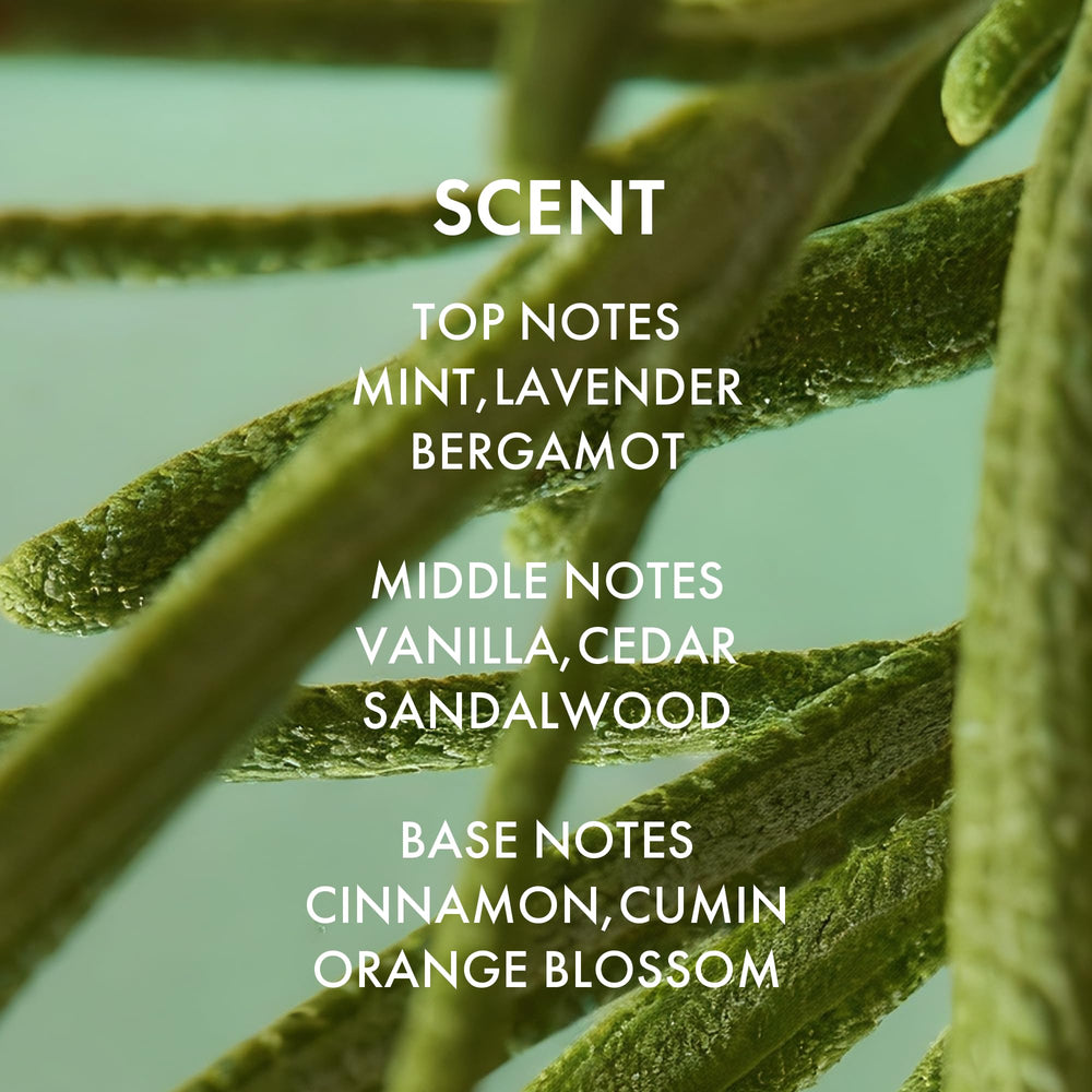 ALFHEIM Sustainable packaging with recycled plastic bottles and cruelty-free care