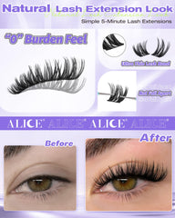 ALICE Flaunt Lash Clusters mid-12mm deliver balanced feathered density across lashes