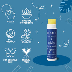 ALIDA PURE ingredients list close-up, featuring vegan oils and candelilla wax
